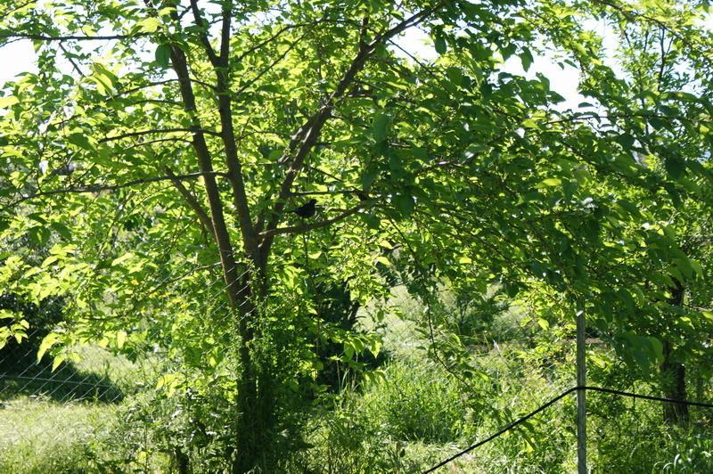 فندق Logrosánفي  Complejo Rural El Prado المظهر الخارجي الصورة