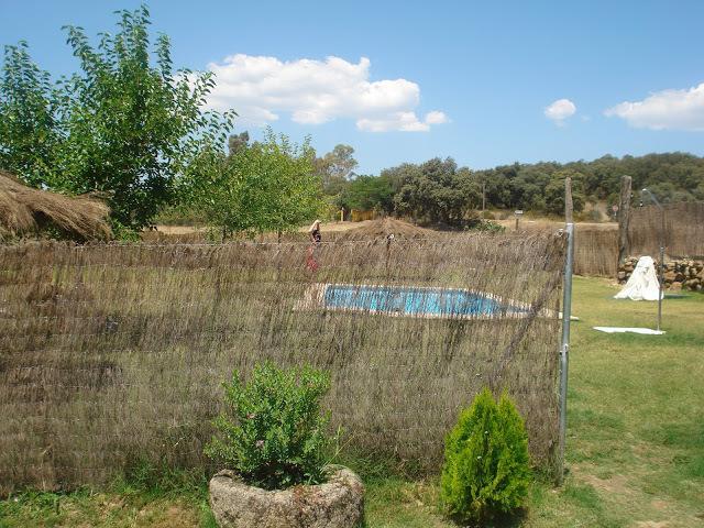 فندق Logrosánفي  Complejo Rural El Prado المظهر الخارجي الصورة